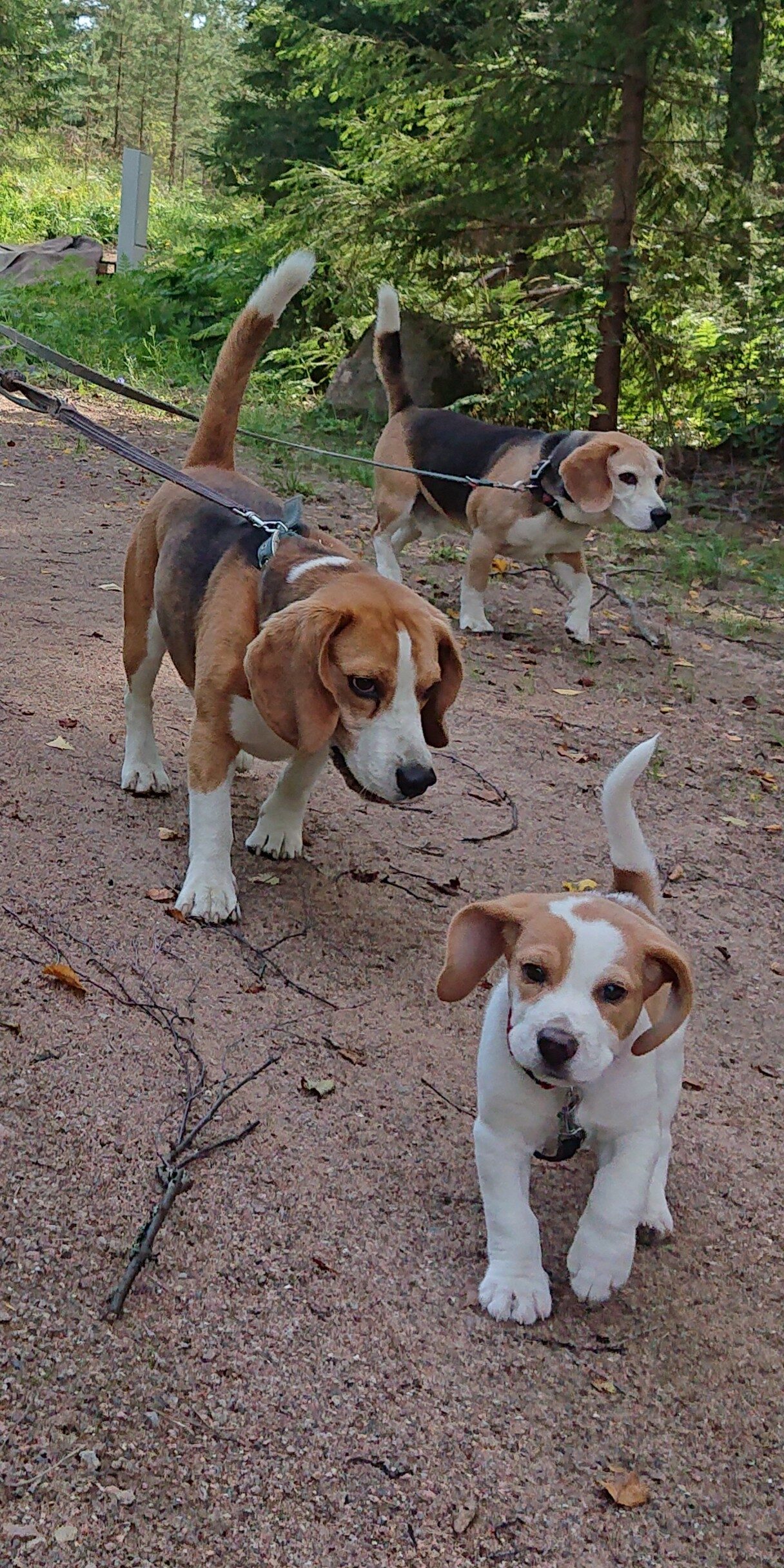 cropped-20200812_135017.jpg